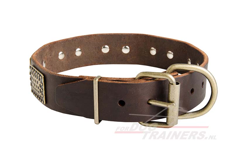 Bijproduct Sortie bolvormig Brede hondenhalsband met versiering | Design kraag - €59.2
