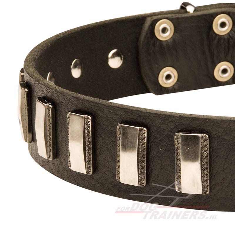 versieren Systematisch kleding Stoere hondenhalsband | Indrukwekkende Design - €67.6